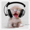 best paid to click websites for 2011 - click for next photo