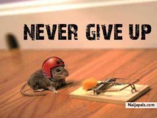 never give up - click for next photo