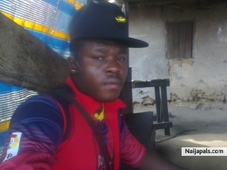am a nice and reliable boy - click for next photo