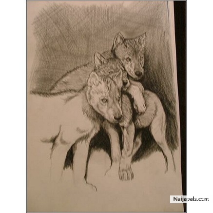 my wolf drawing - click for next photo