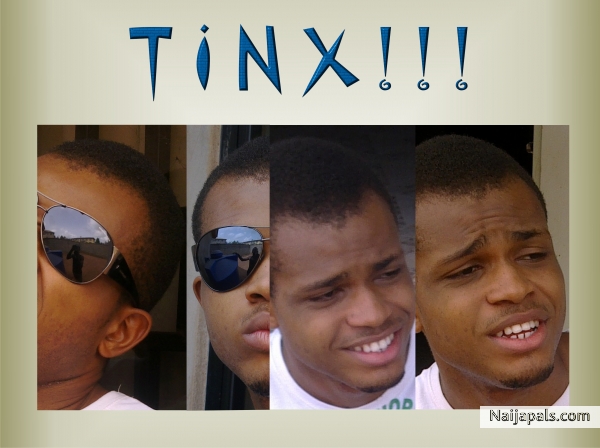 Tinx - click for next photo