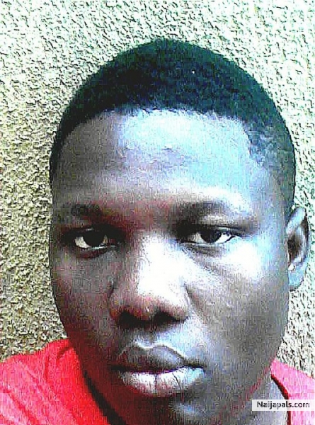  - click for next photo