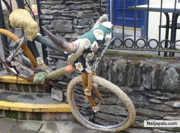 Living Bicycle. - click for next photo