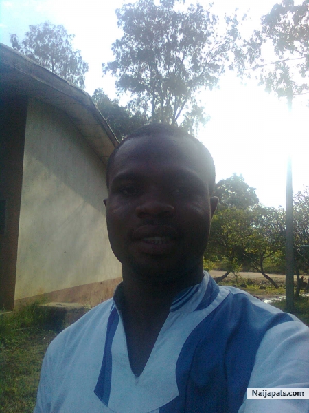 image - click for next photo