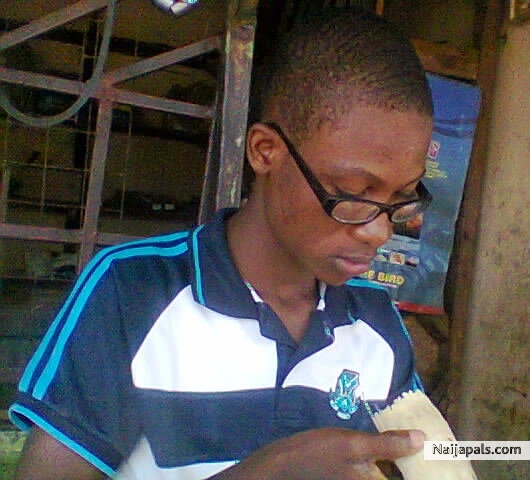  - click for next photo