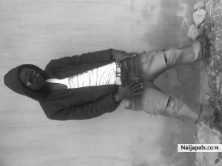  - click for next photo