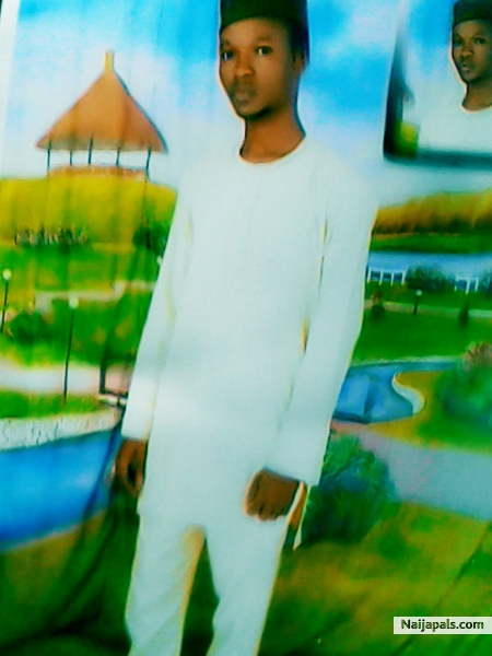  - click for next photo