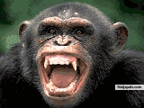 THE FACE OF GREEDYNESS - click for next photo