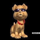 cool - click for next photo