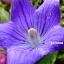 NICE - click for next photo