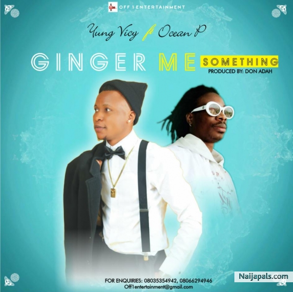 Ginger Me Something