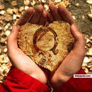 lovely - click for next photo