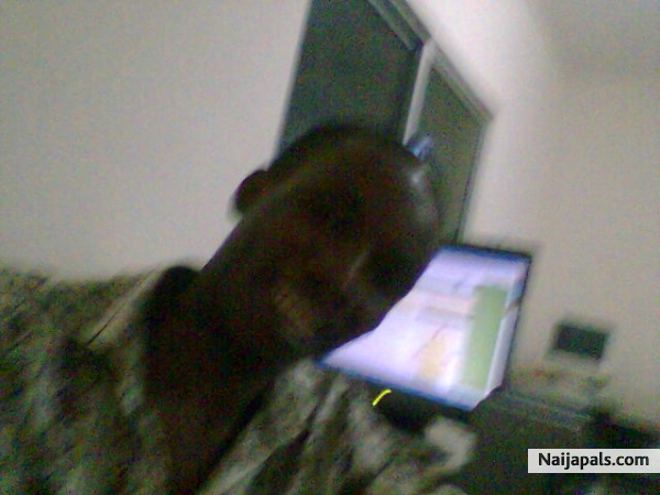  - click for next photo