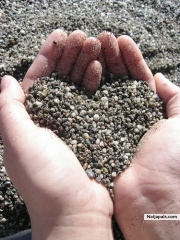 WE NEED MORE OF IT IN OUR LIFE - click for next photo