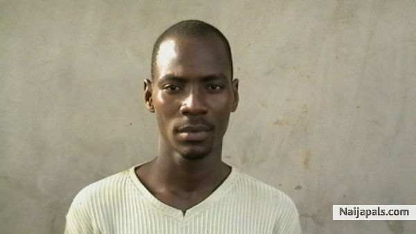  - click for next photo