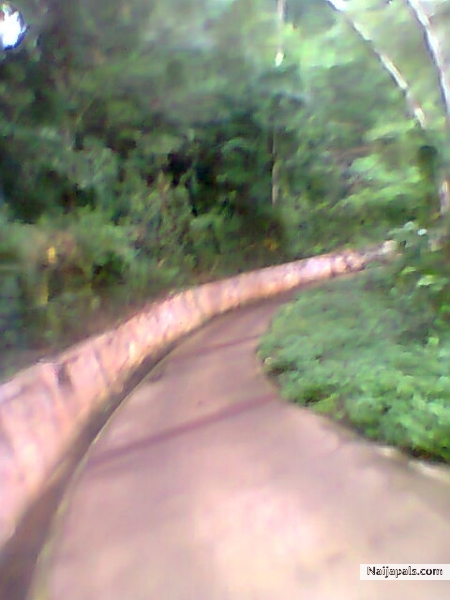 Le Meridien Ibom - click for next photo