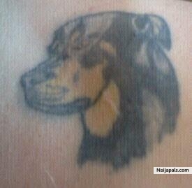 my tattoo of my Rottweiler Zazet,, RIP - click for next photo