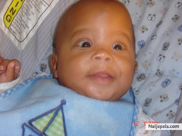 DARIUS - click for next photo
