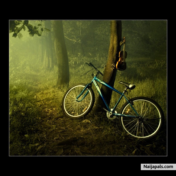 bike - click for next photo