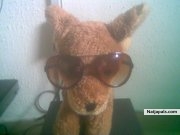  - click for next photo