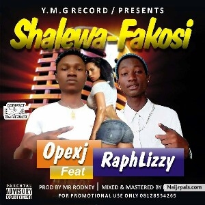 Shallewa fakosi