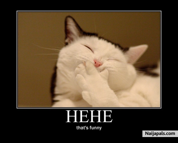 :)) - click for next photo