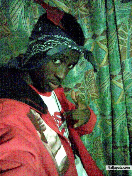 all eye on me, realist killer - click for next photo