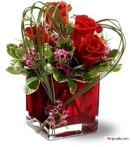 goodly - click for next photo