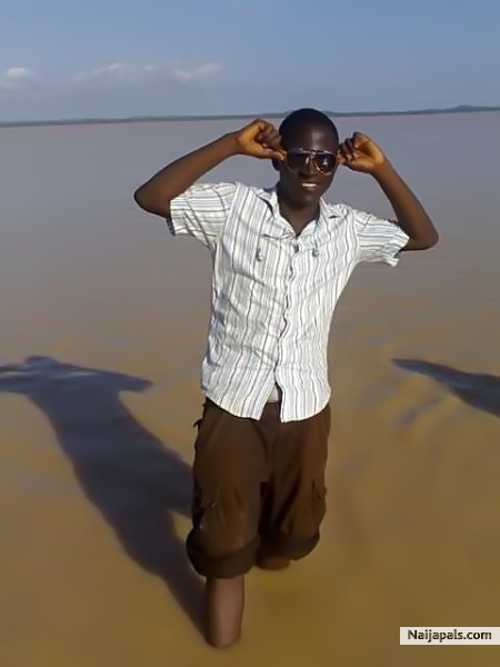 BAKOLORI DAMB - click for next photo