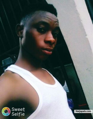 skido - click for next photo