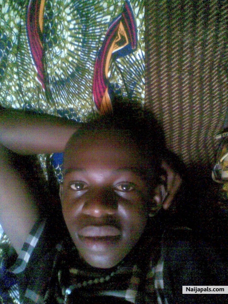 Home Boi - click for next photo