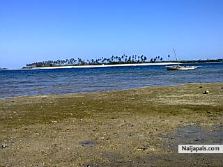 karimu - click for next photo