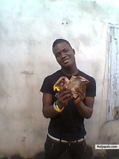  - click for next photo