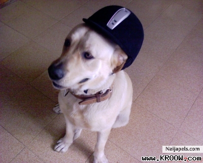 boy - click for next photo