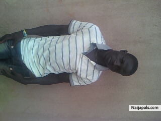  - click for next photo