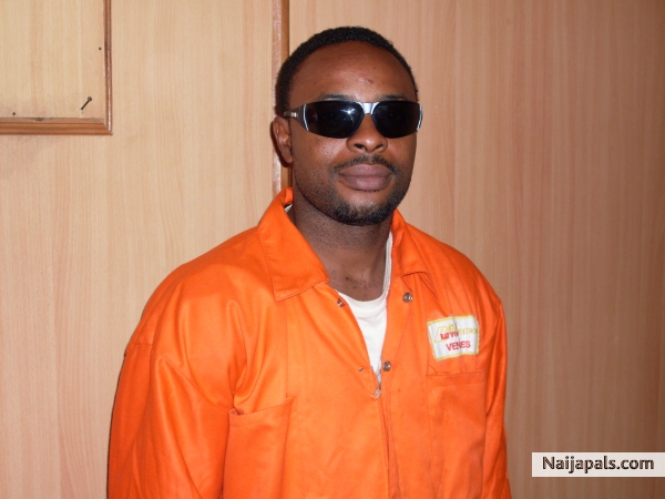 wonda - click for next photo