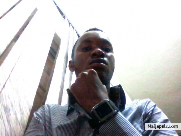 Gabriel omo shock' diesel - click for next photo