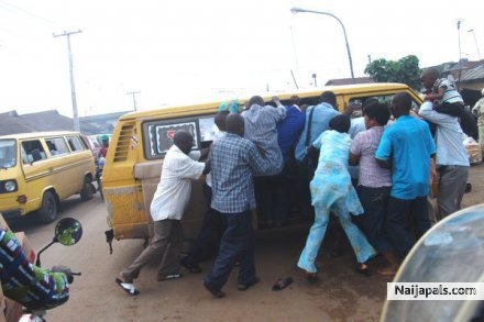 Naija - click for next photo