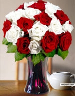  - click for next photo