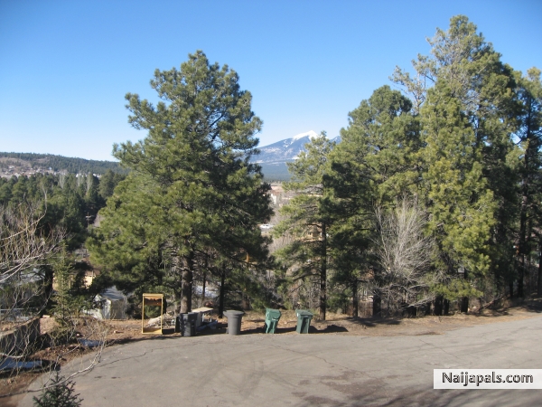 Flagstaff AZ - click for next photo