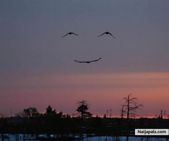 :) - click for next photo
