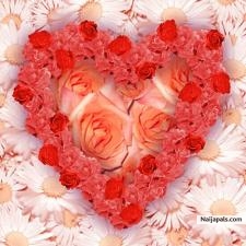 Don' t Get it Twisted - Love is Such a Wonderful Thing! - click for next photo
