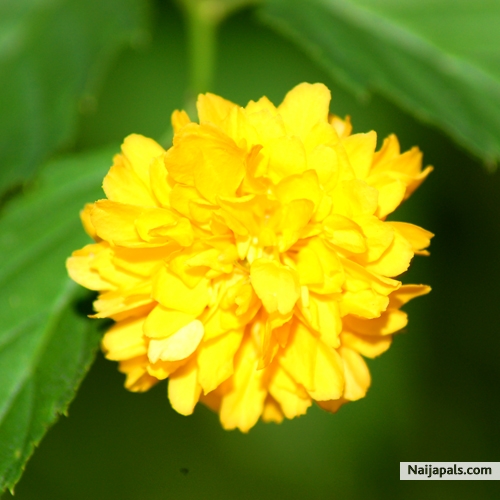 Do not be a parasite, be giver no matter how small - click for next photo