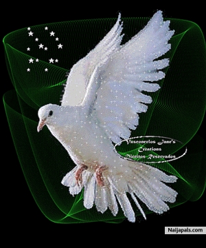 Peace unto Nigeria - click for next photo