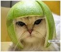 protect ad feed ur brain, its ur most valuable asset - click for next photo