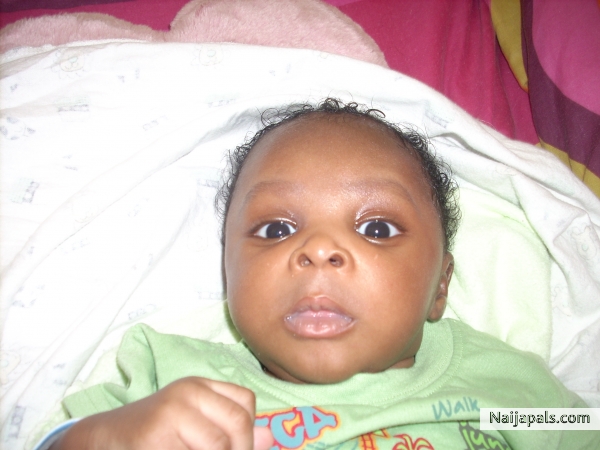MY PHOTO COPY - click for next photo