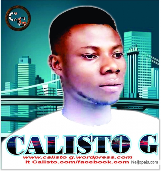 Calisto - click for next photo