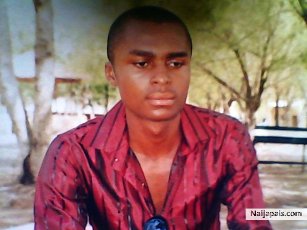  - click for next photo