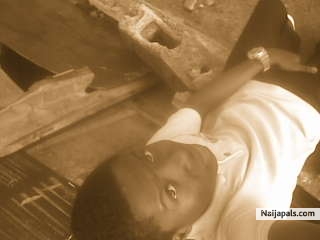  - click for next photo