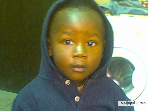 OBI IS A BOY - click for next photo